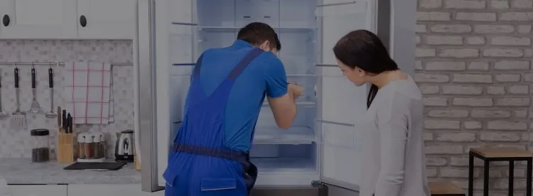 Ремонт холодильников Lec
